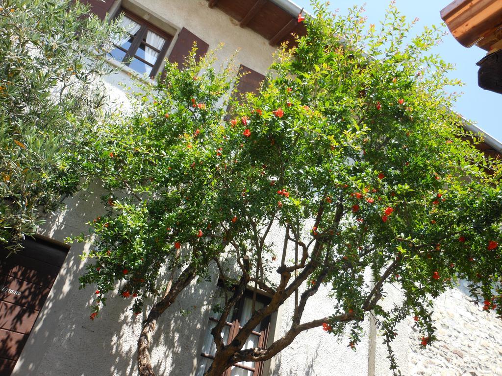 Agriturismo Cassinazza Orsenigo Exterior foto